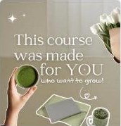 Coleção Matcha